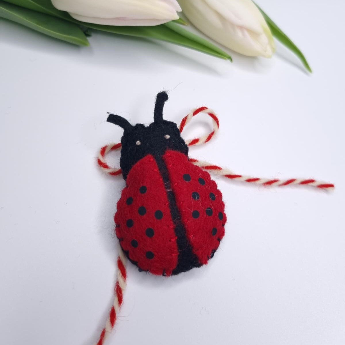 Martisor Buburuza