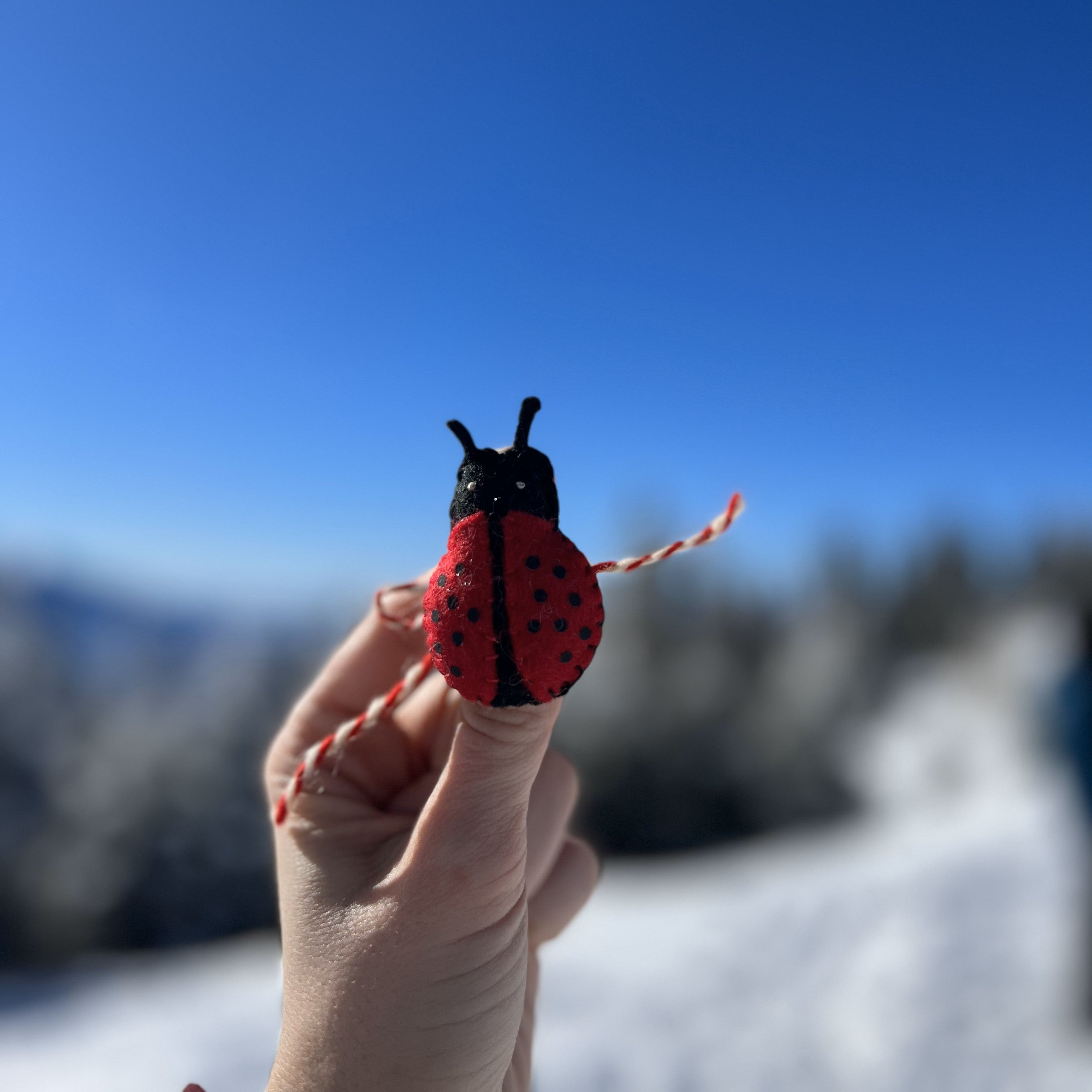 Martisor Buburuza